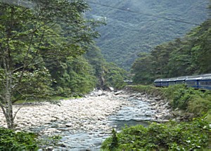 P1100160.jpg

1,695.29 KB 
2798 x 2010 
22/07/2019
